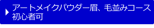 アートメイクパウダー眉、毛並みコース 初心者可