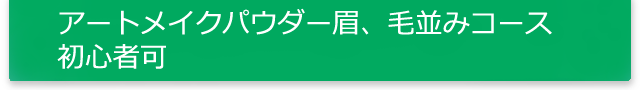 アートメイクパウダー眉、毛並みコース 初心者可